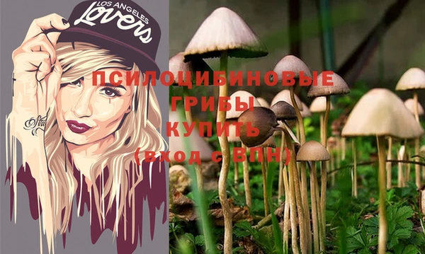 спиды Майский