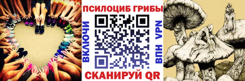 Псилоцибиновые грибы мицелий  Купить где  Магнитогорск 